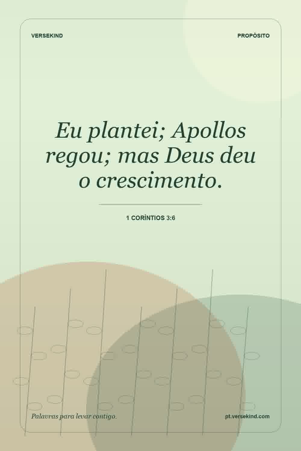 Eu plantei; Apollos regou; mas Deus deu o crescimento. — 1 Coríntios 3:6