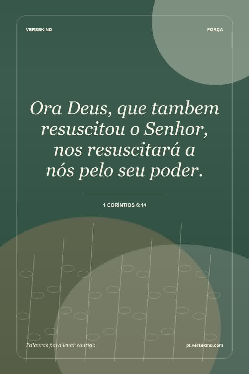 Ora Deus, que tambem resuscitou o Senhor, nos resuscitará a nós pelo seu poder. — 1 Coríntios 6:14
