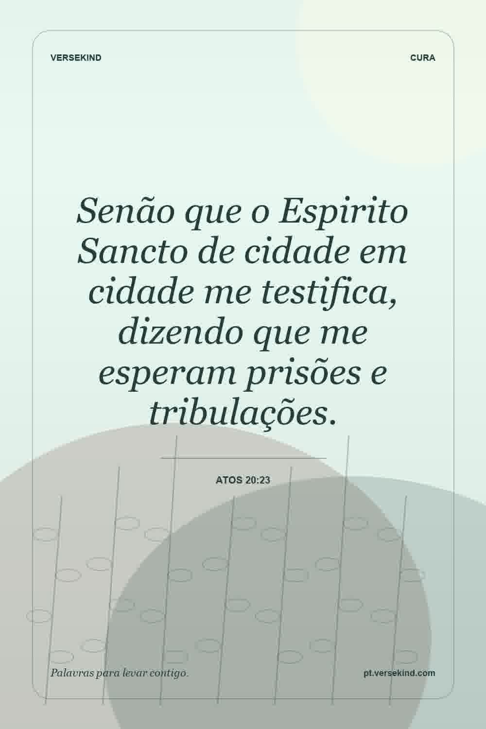 Senão que o Espirito Sancto de cidade em cidade me testifica, dizendo que me esperam prisões e tribulações. — Atos 20:23