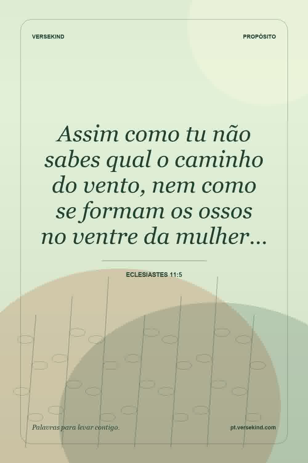 Assim como tu não sabes qual o caminho do vento, nem como se formam os ossos no ventre da mulher… — Eclesiastes 11:5