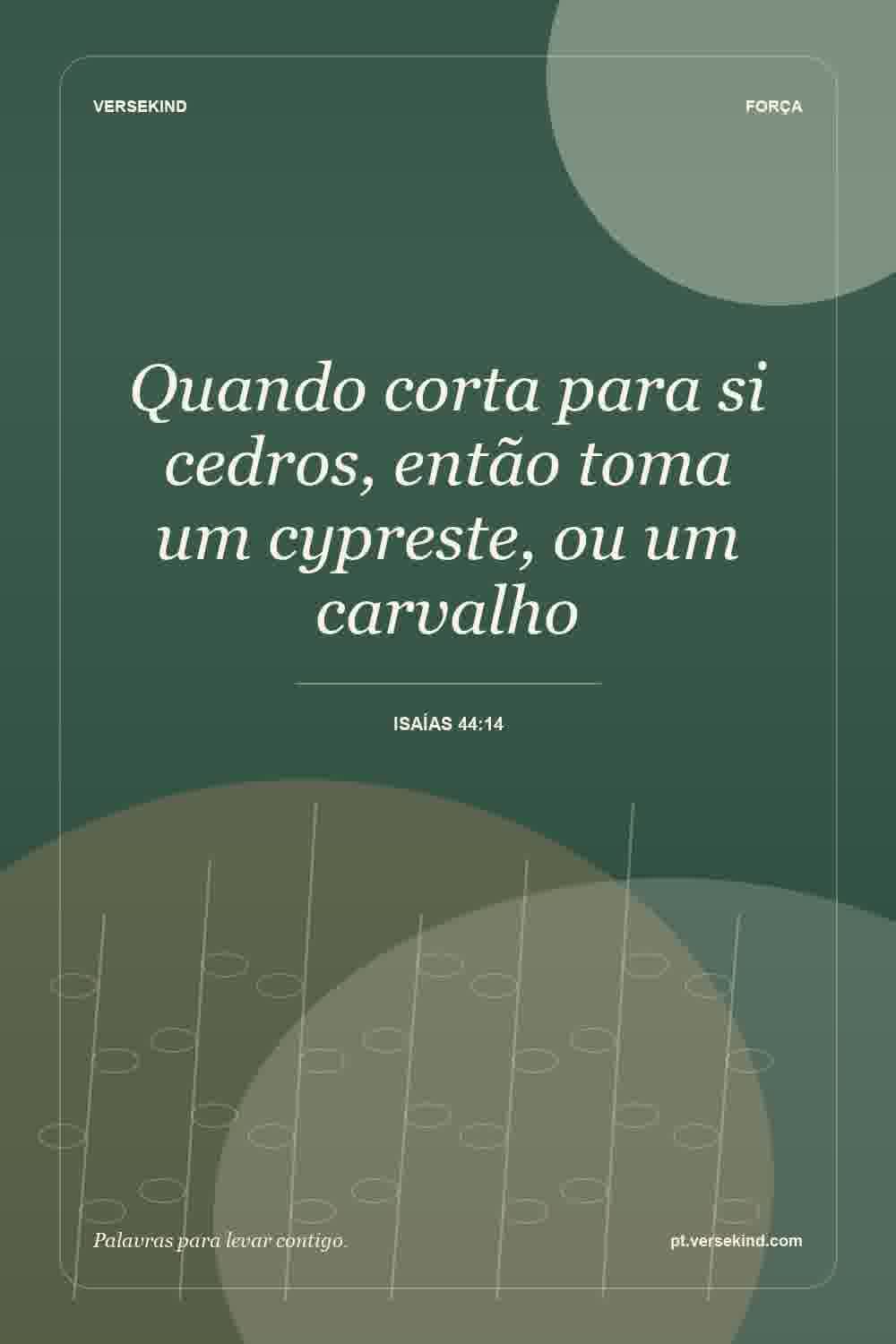 Quando corta para si cedros, então toma um cypreste, ou um carvalho — Isaías 44:14