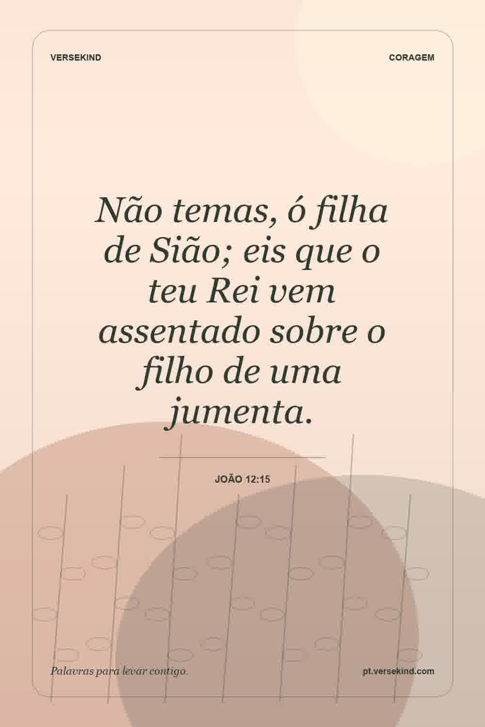 Não temas, ó filha de Sião; eis que o teu Rei vem assentado sobre o filho de uma jumenta. — João 12:15