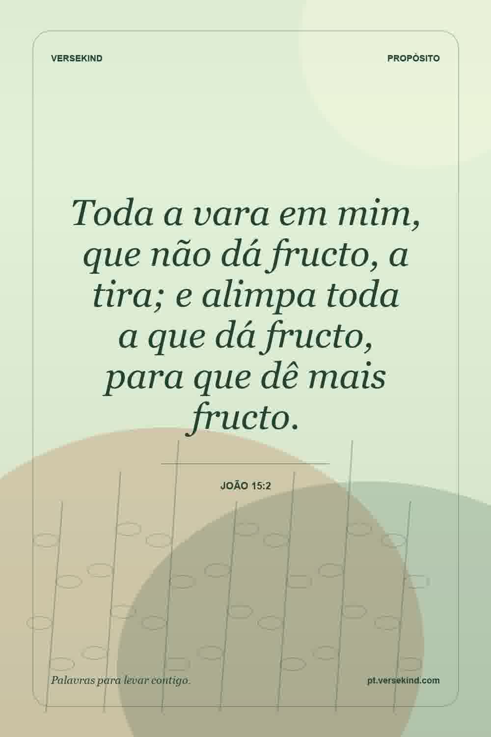 Toda a vara em mim, que não dá fructo, a tira; e alimpa toda a que dá fructo, para que dê mais fructo. — João 15:2