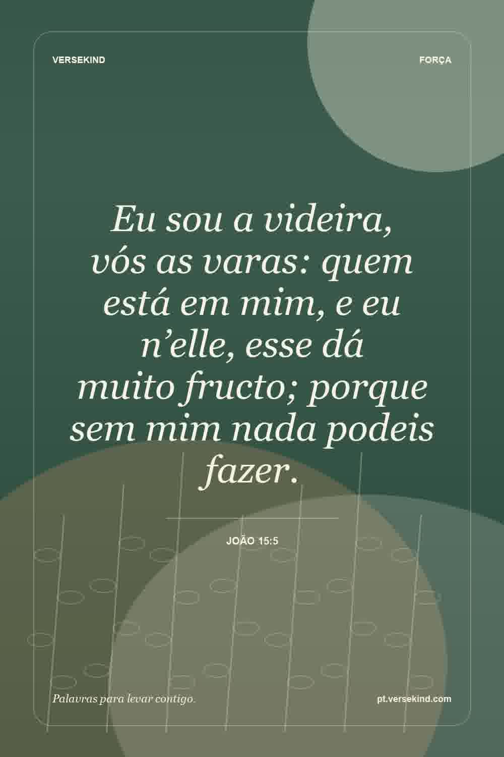 Eu sou a videira, vós as varas: quem está em mim, e eu n’elle, esse dá muito fructo; porque sem mim nada podeis fazer. — João 15:5