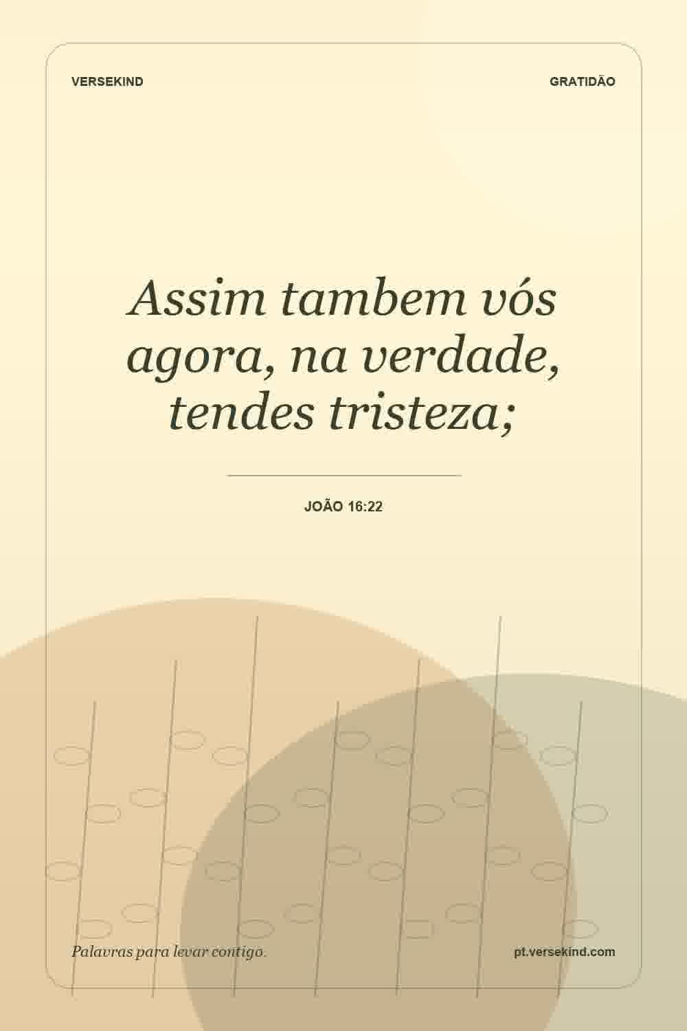 Assim tambem vós agora, na verdade, tendes tristeza; — João 16:22
