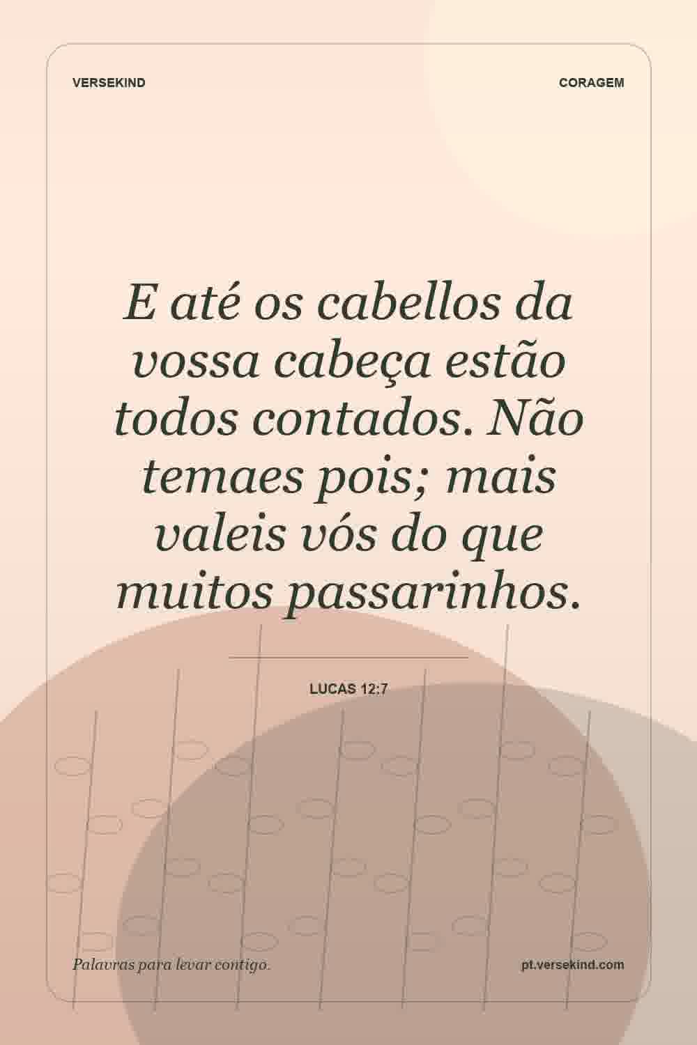 E até os cabellos da vossa cabeça estão todos contados. Não temaes pois; mais valeis vós do que muitos passarinhos. — Lucas 12:7