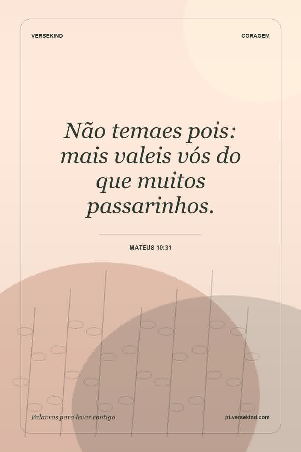 Não temaes pois: mais valeis vós do que muitos passarinhos. — Mateus 10:31