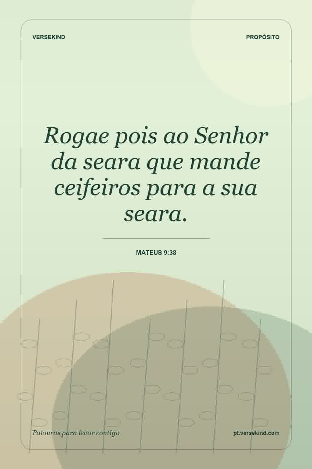 Rogae pois ao Senhor da seara que mande ceifeiros para a sua seara. — Mateus 9:38