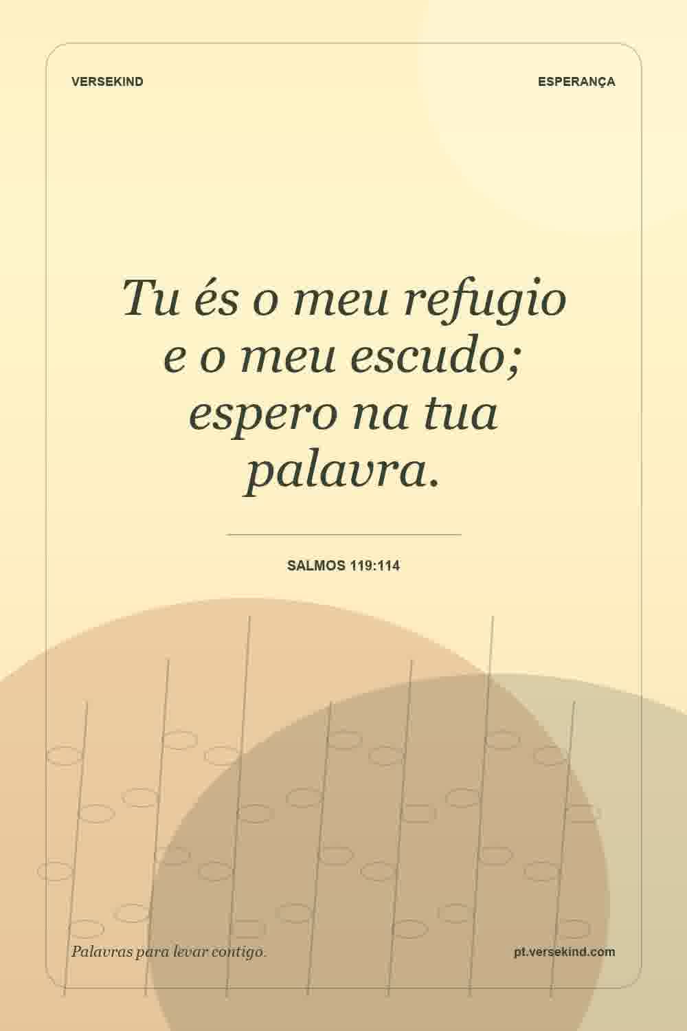 Tu és o meu refugio e o meu escudo; espero na tua palavra. — Salmos 119:114