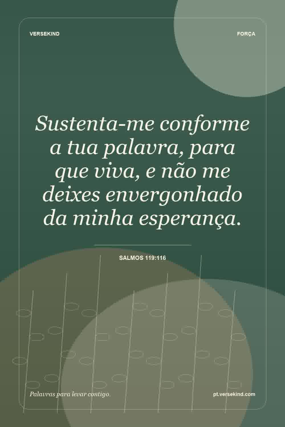 Sustenta-me conforme a tua palavra, para que viva, e não me deixes envergonhado da minha esperança. — Salmos 119:116