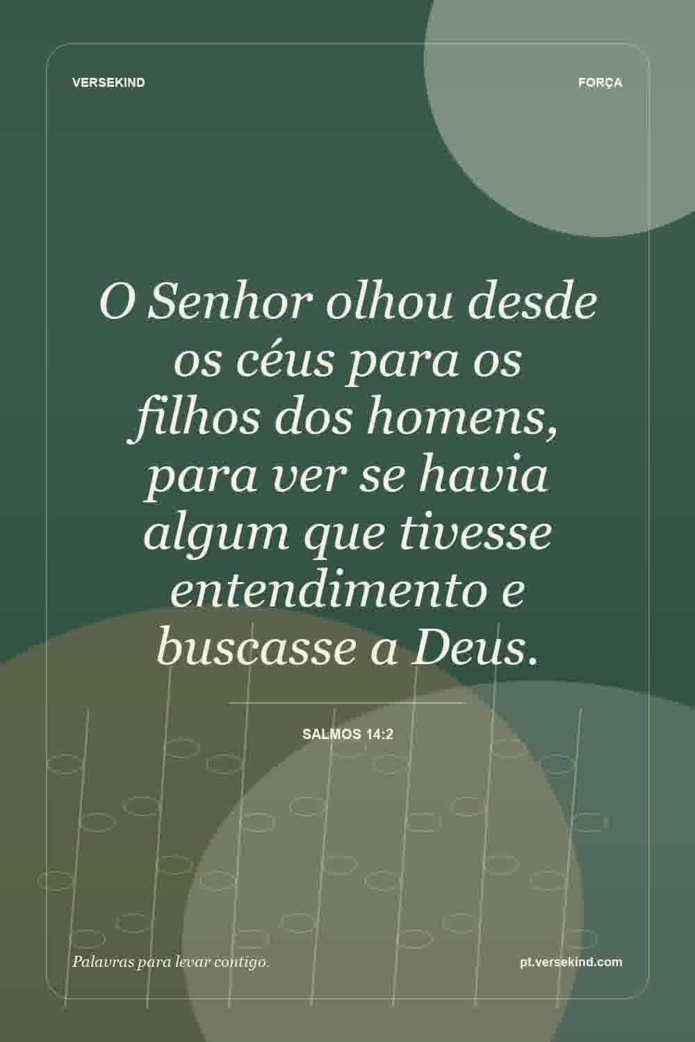 O Senhor olhou desde os céus para os filhos dos homens, para ver se havia algum que tivesse entendimento e buscasse a Deus. — Salmos 14:2