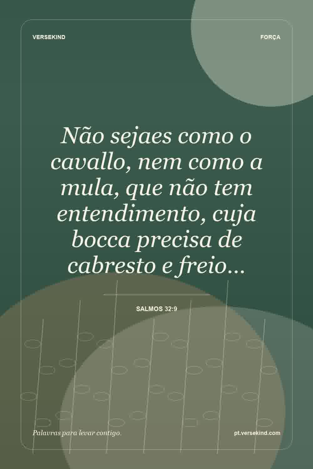 Não sejaes como o cavallo, nem como a mula, que não tem entendimento, cuja bocca precisa de cabresto e freio… — Salmos 32:9
