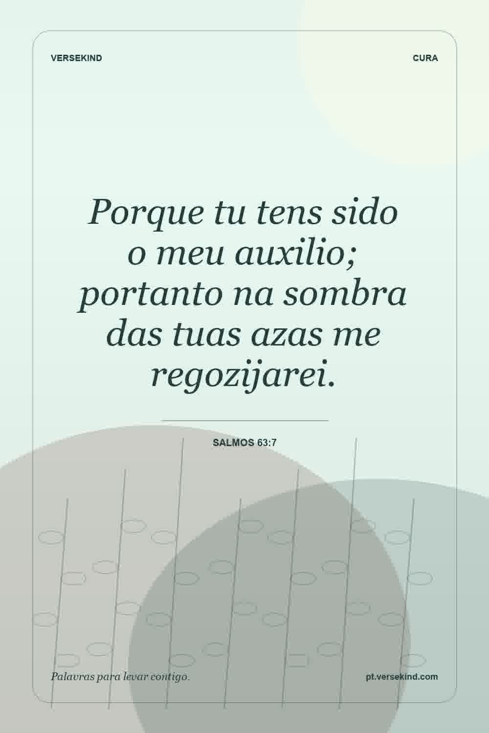 Porque tu tens sido o meu auxilio; portanto na sombra das tuas azas me regozijarei. — Salmos 63:7