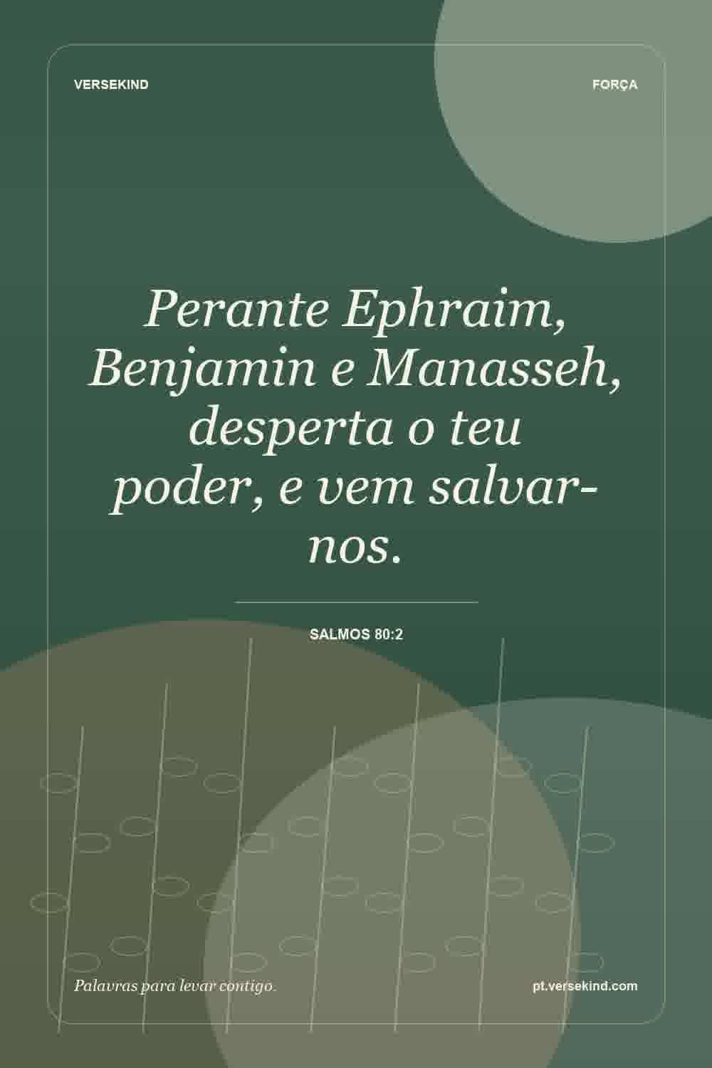 Perante Ephraim, Benjamin e Manasseh, desperta o teu poder, e vem salvar-nos. — Salmos 80:2